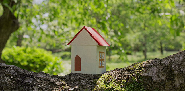 メールでのお問い合わせ